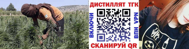 цены   Костомукша  ТГК концентрат 