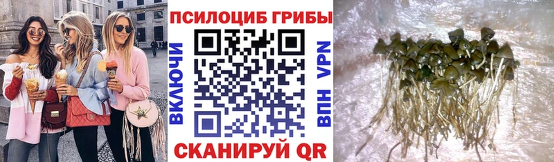 блэк спрут как зайти  Костомукша  Псилоцибиновые грибы мухоморы  магазин  наркотиков 